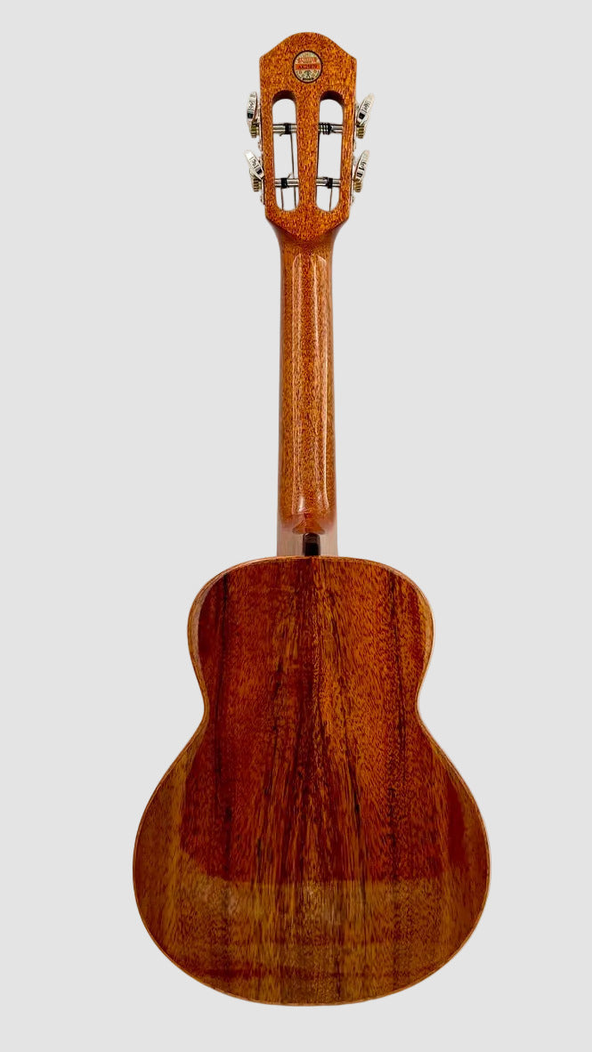 aNueNue AKK2E Concert mit Pickup