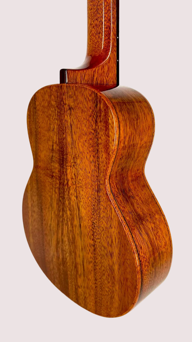 aNueNue AKK2E Concert mit Pickup