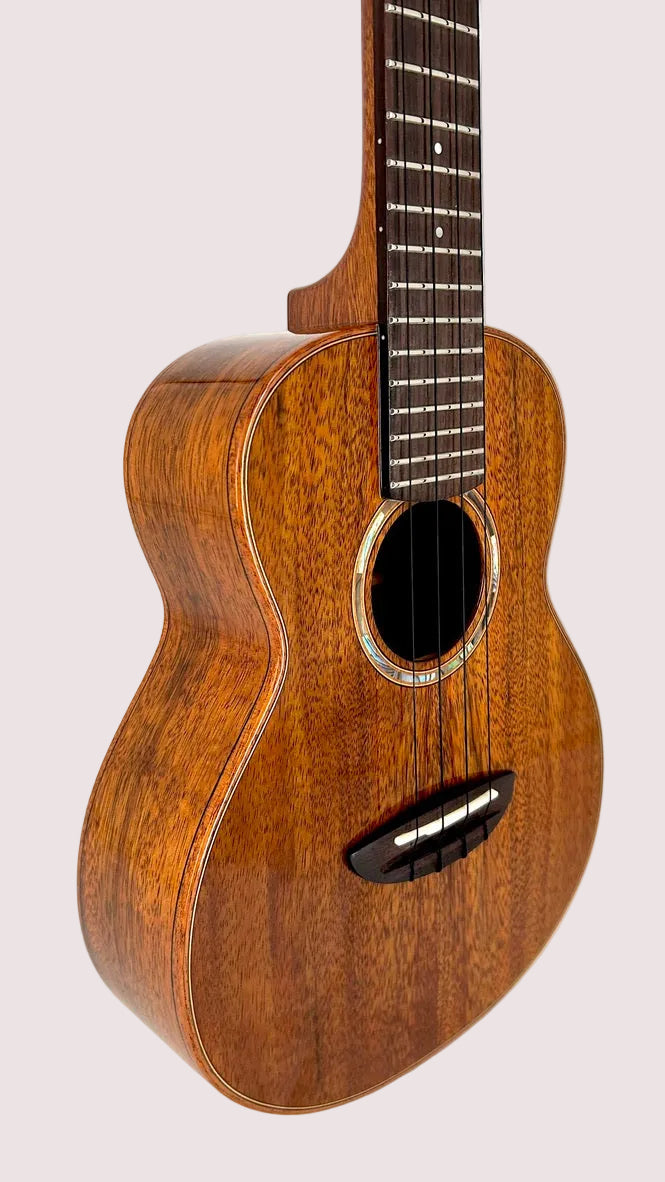 aNueNue AKK2E Concert mit Pickup