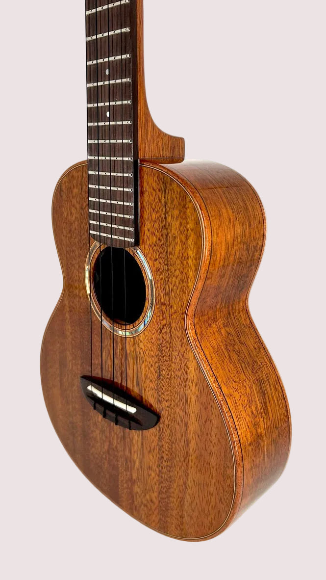 aNueNue AKK2E Concert mit Pickup