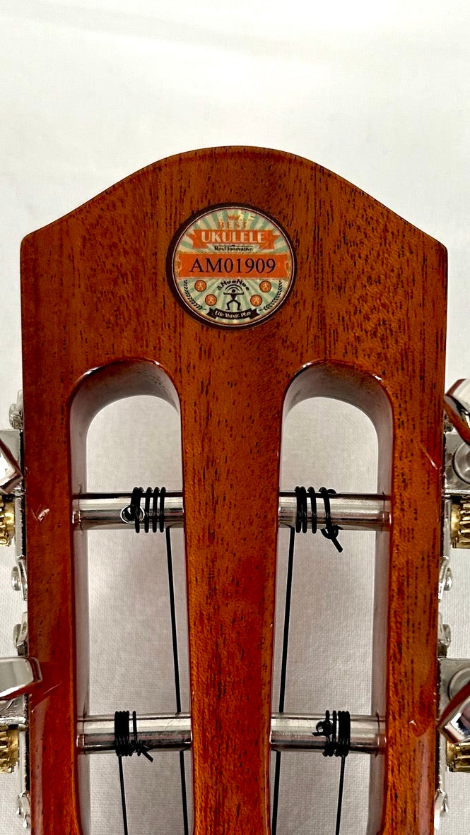 aNueNue AKK2 Concert