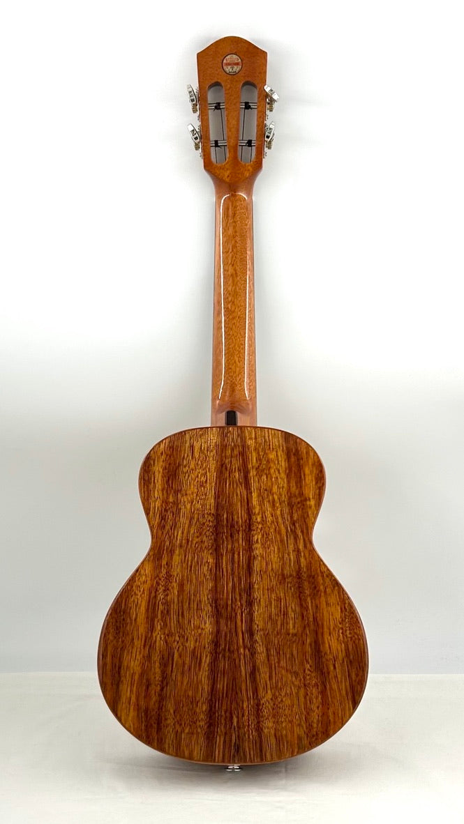 aNueNue AKK3E Tenor mit Pickup