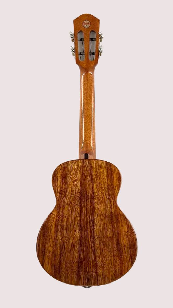 aNueNue AKK3E Tenor mit Pickup
