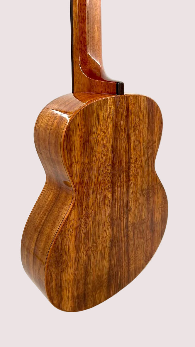 aNueNue AKK3E Tenor mit Pickup