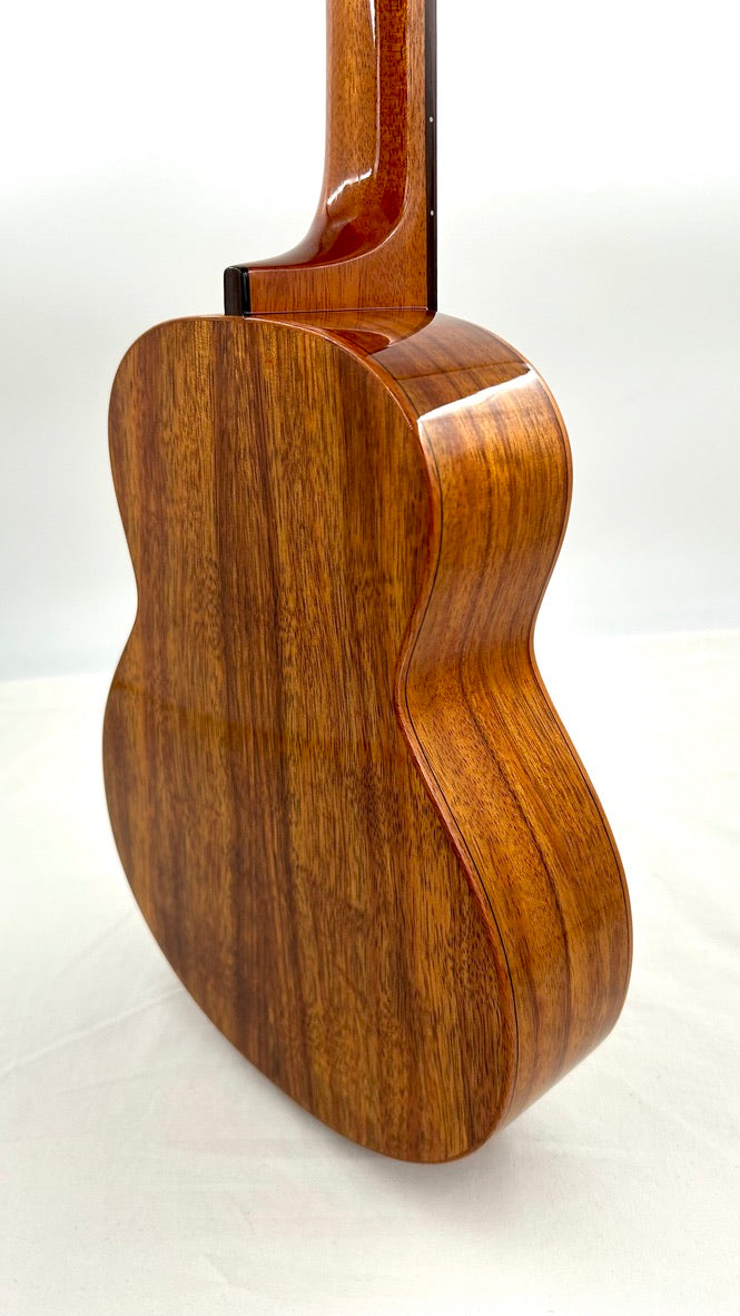 aNueNue AKK3E Tenor mit Pickup