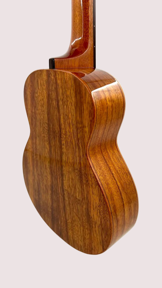 aNueNue AKK3E Tenor mit Pickup
