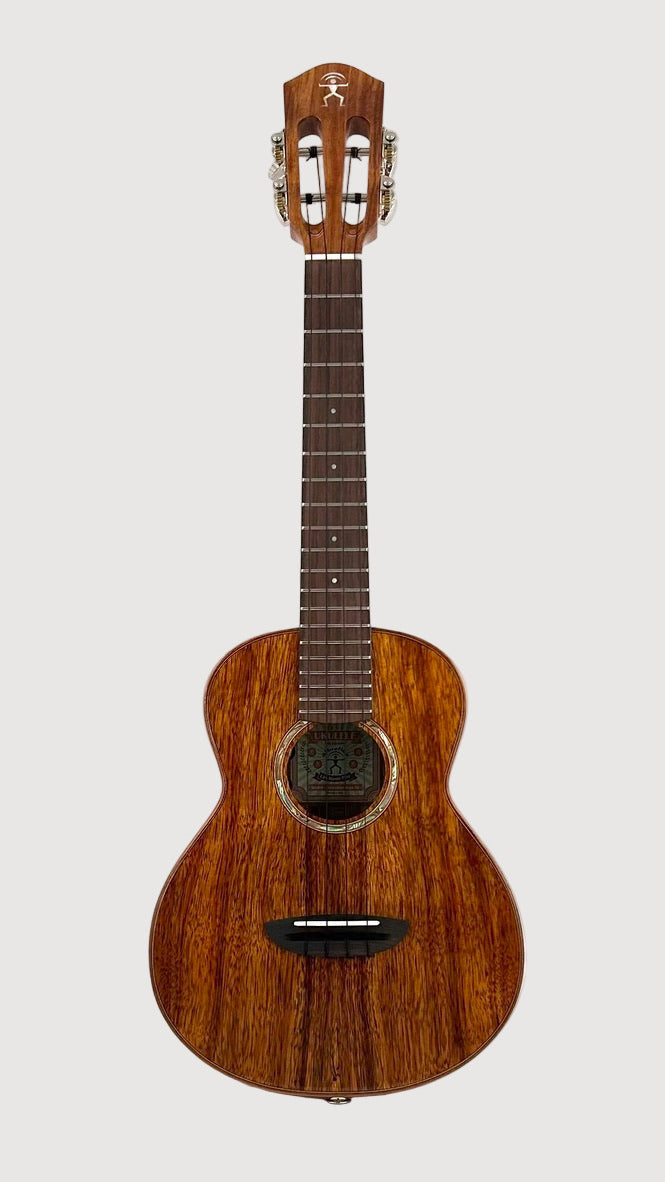 aNueNue AKK3E Tenor mit Pickup