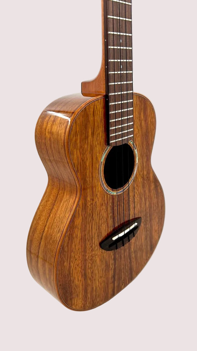 aNueNue AKK3E Tenor mit Pickup