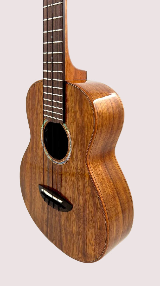aNueNue AKK3E Tenor mit Pickup