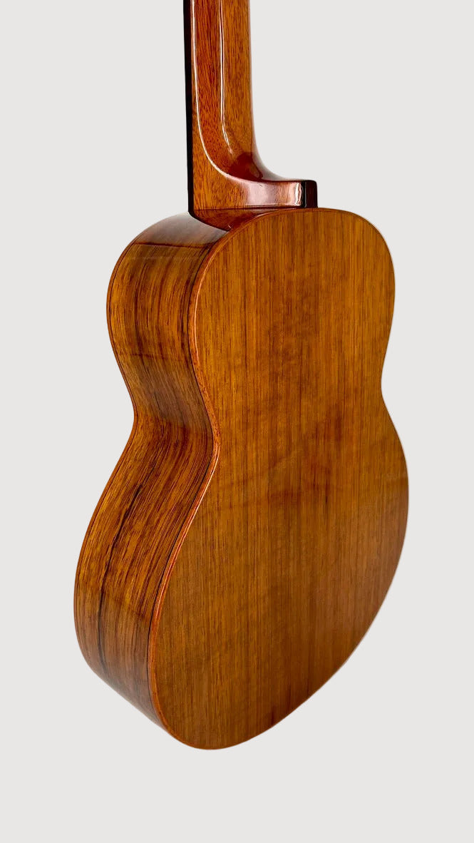 aNueNue AKK3 Tenor