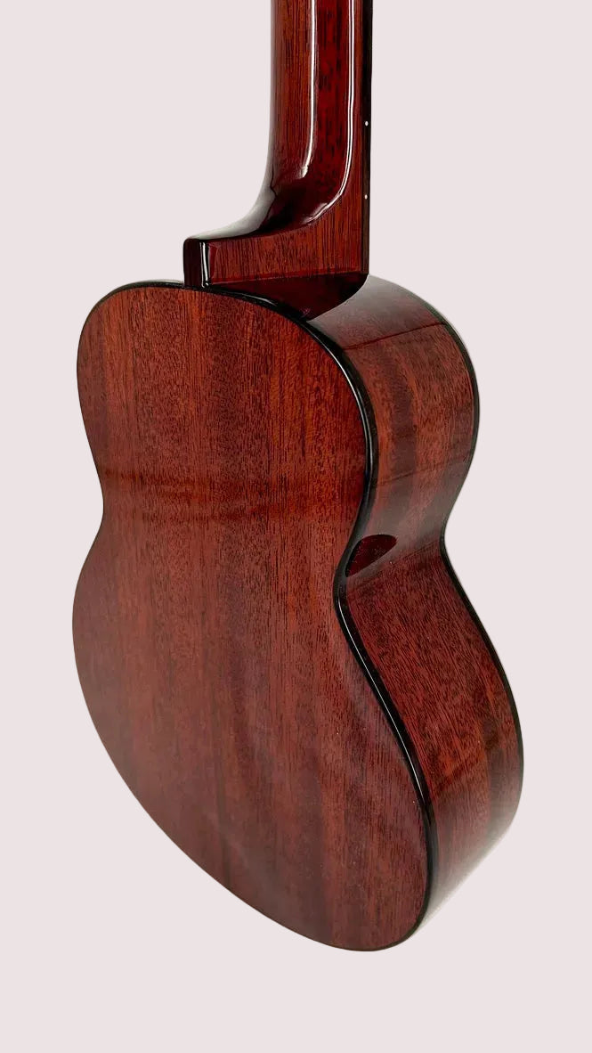 aNueNue AMM2E Concert mit Pickup