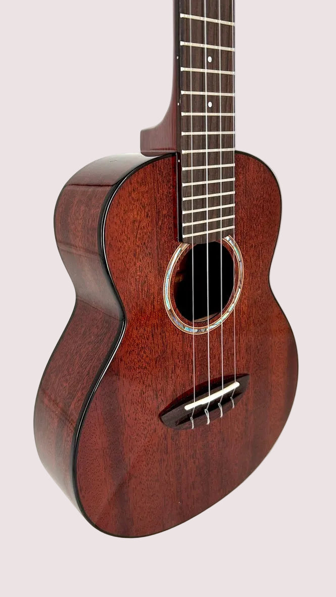 aNueNue AMM2E Concert mit Pickup