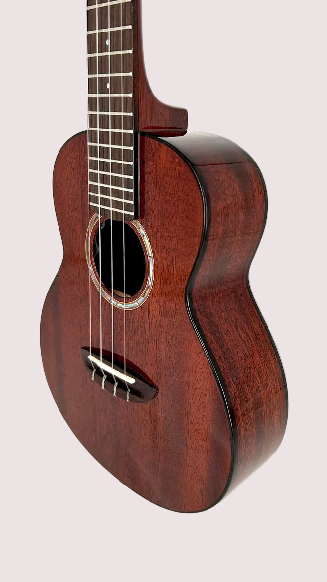 aNueNue AMM2E Concert mit Pickup