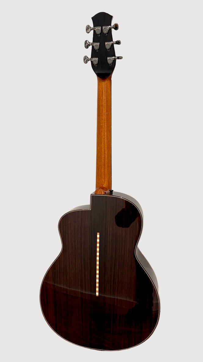 aNueNue LS700 Gitarre