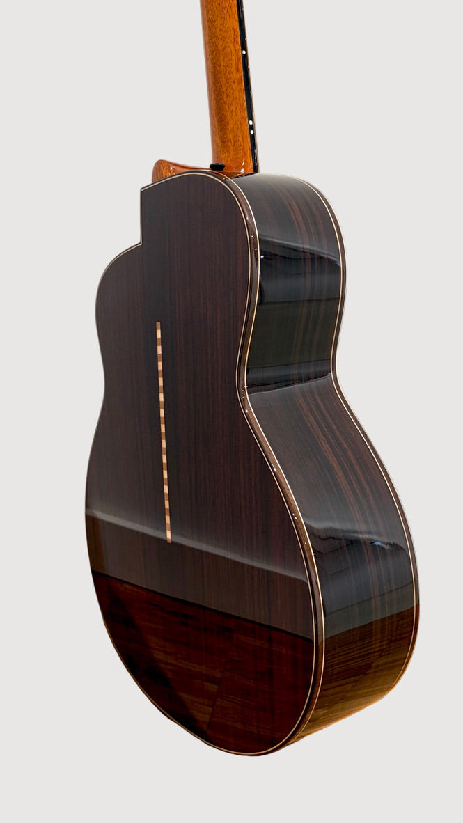 aNueNue LS700 Gitarre