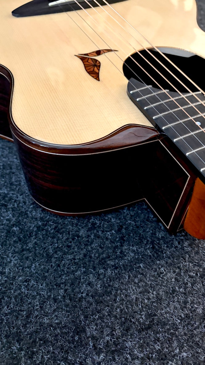 aNueNue LS700 Gitarre