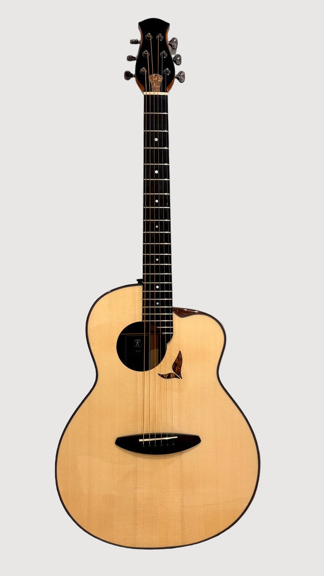 aNueNue LS700 Gitarre