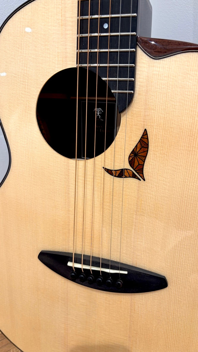 aNueNue LS700 Gitarre