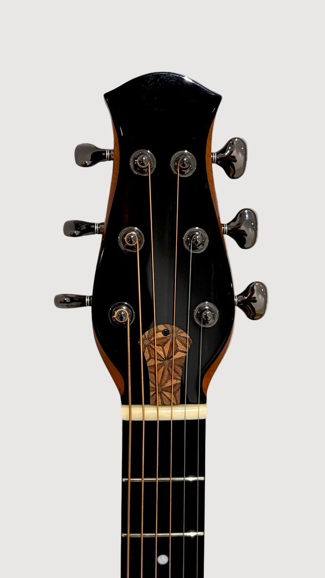 aNueNue LS700 Gitarre