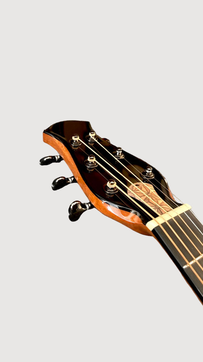 aNueNue LS700 Gitarre
