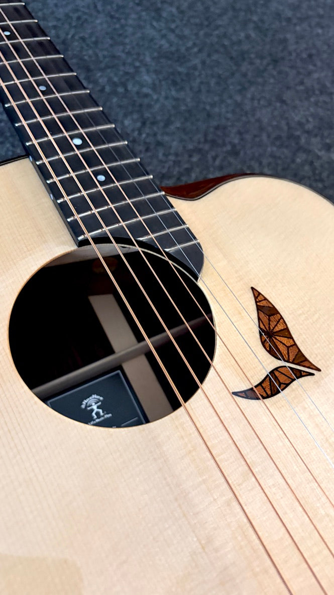 aNueNue LS700 Gitarre