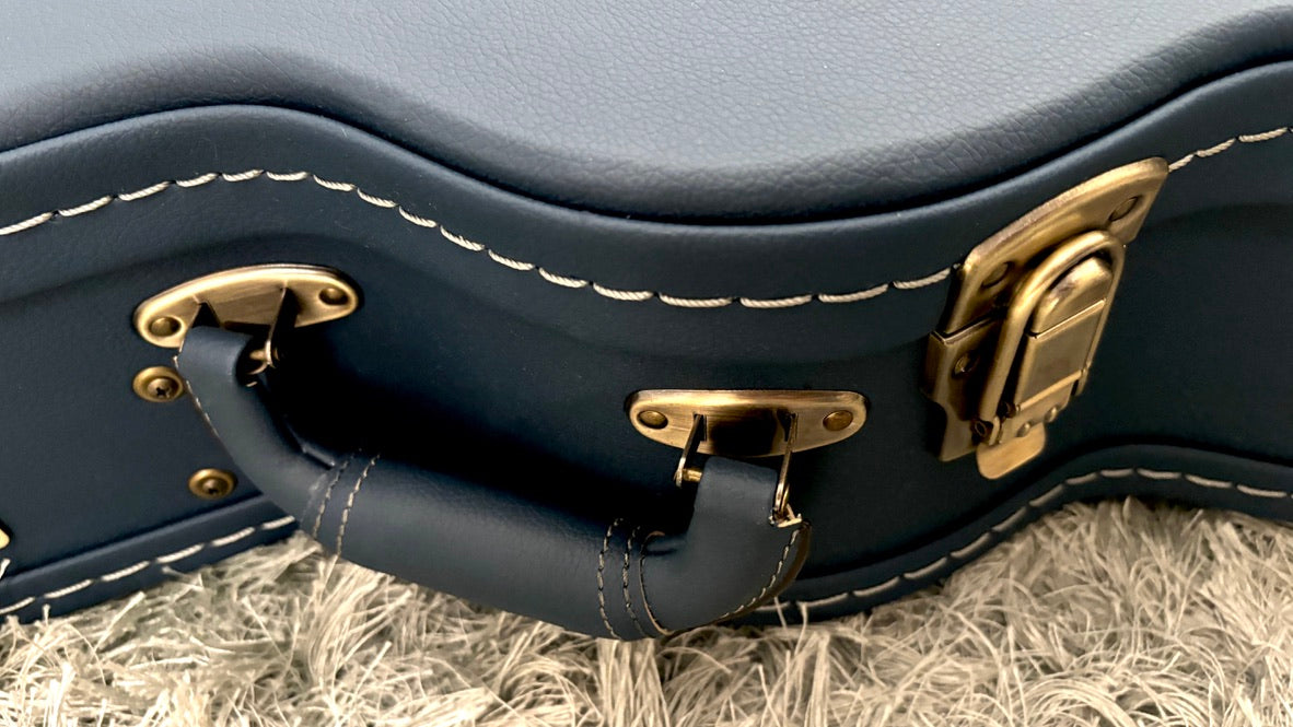 aNueNue LS600 Gitarre