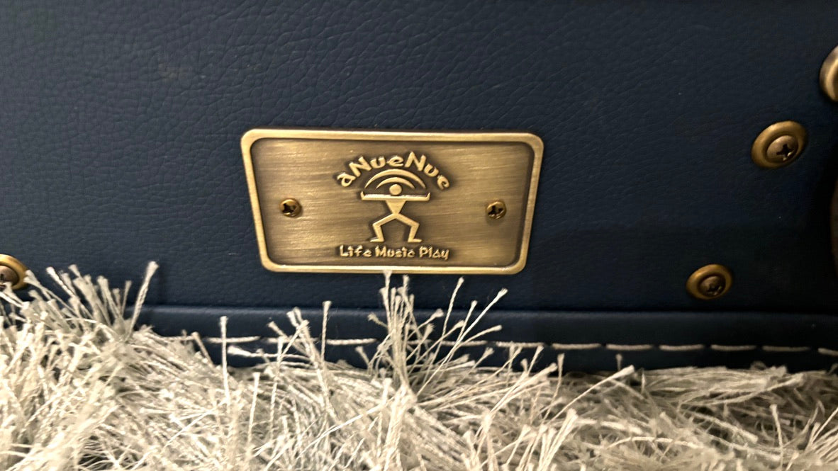 aNueNue LS700 Gitarre