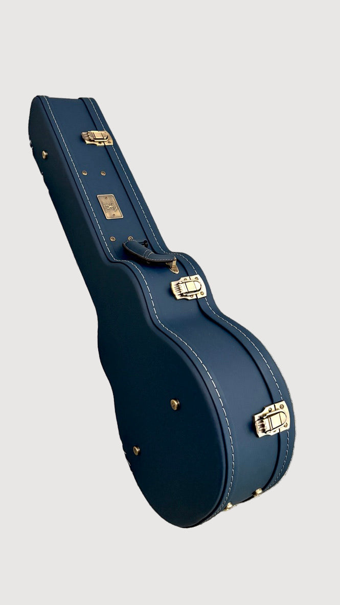 aNueNue LS700 Gitarre