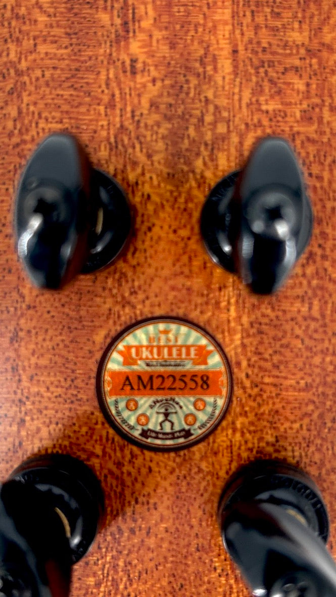 aNueNue UB200 Moonbird Bariton