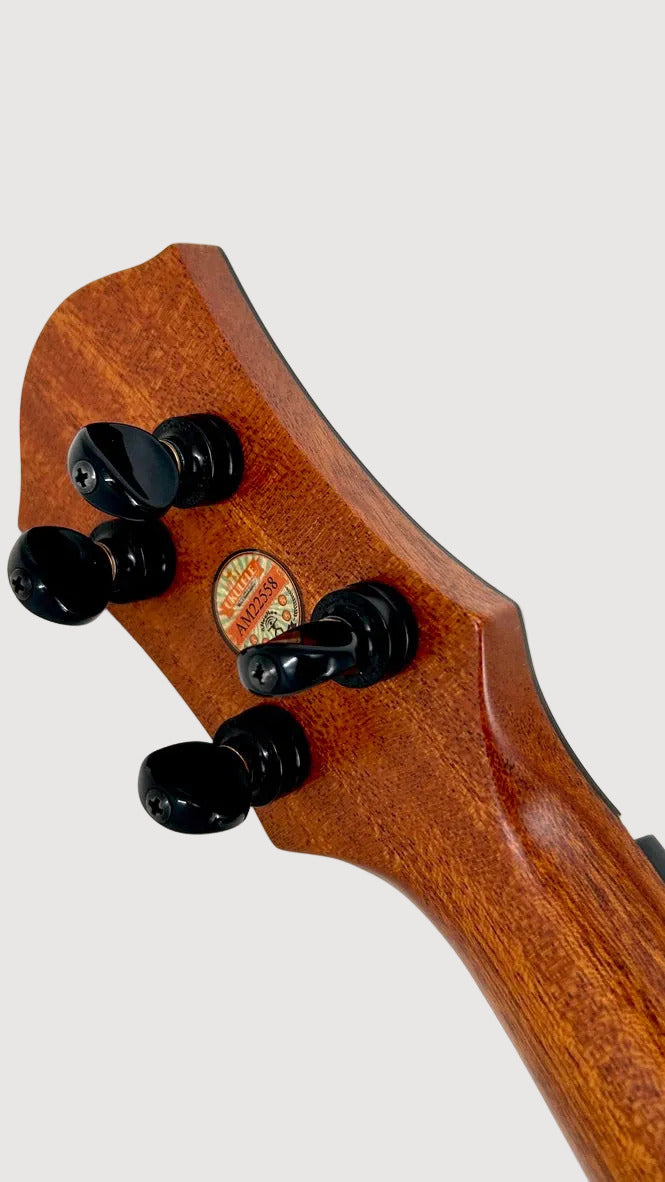 aNueNue UB200 Moonbird Bariton