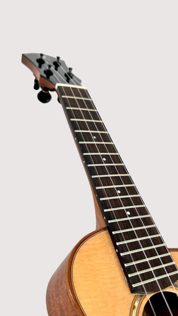 aNueNue US100 Sitka Bird Sopran