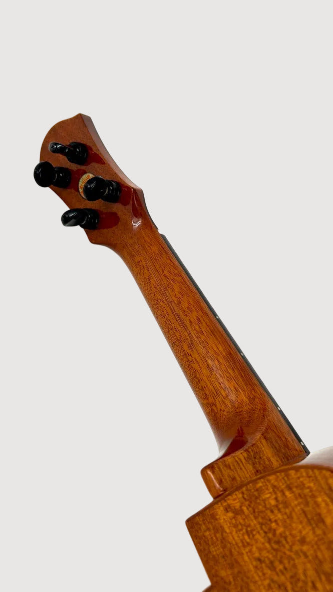 aNueNue US100 Sitka Bird Sopran