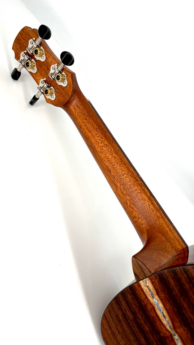 MAESTRO UC-SR SB Concert