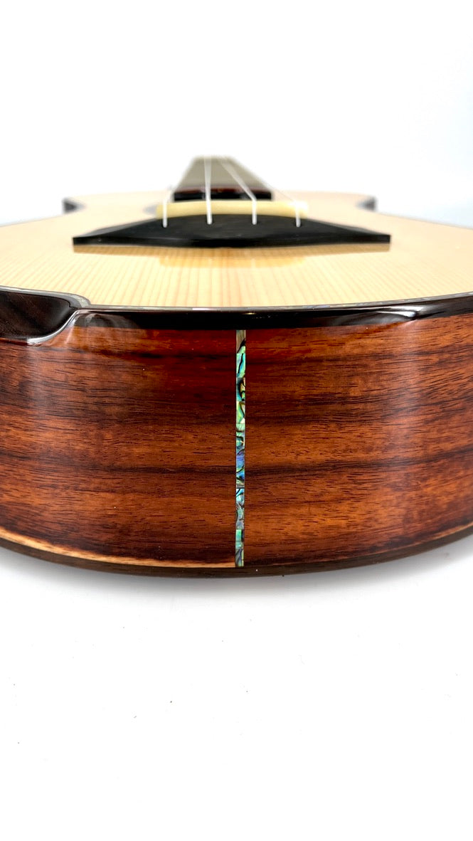 MAESTRO UC-SR SB Concert