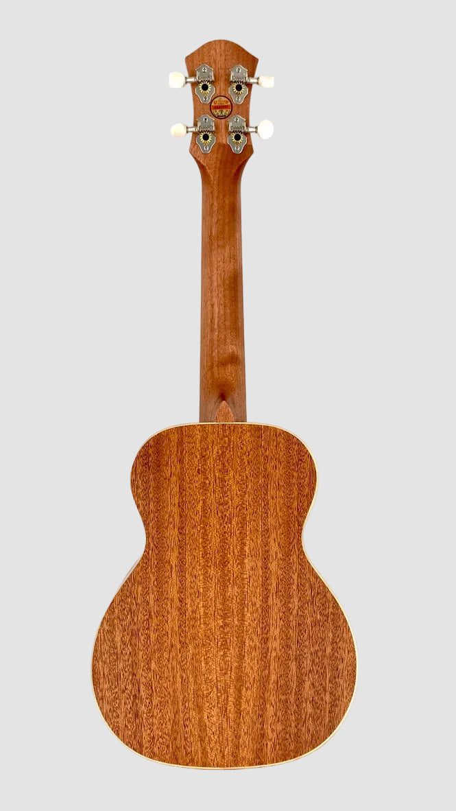 aNueNue UC-10 AM Concert