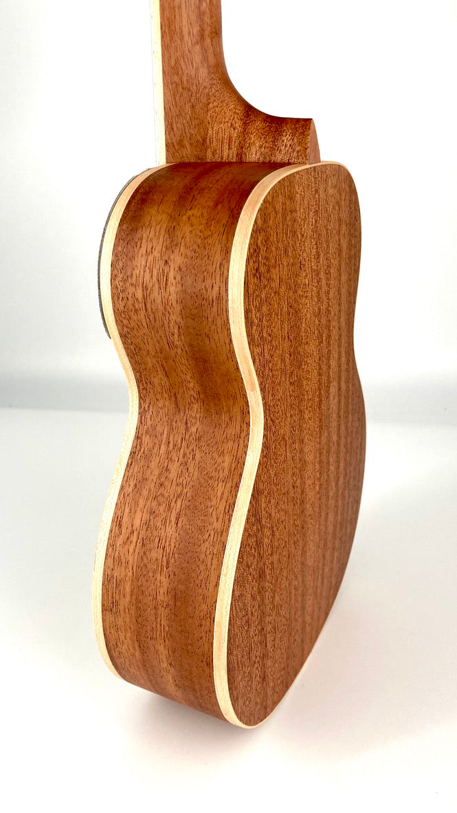 aNueNue UC-10 AM Concert