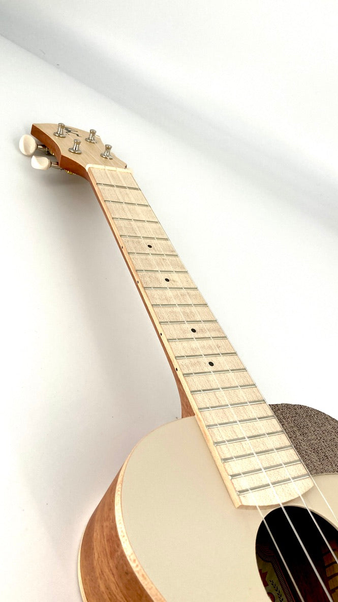 aNueNue UC-10 AM Concert