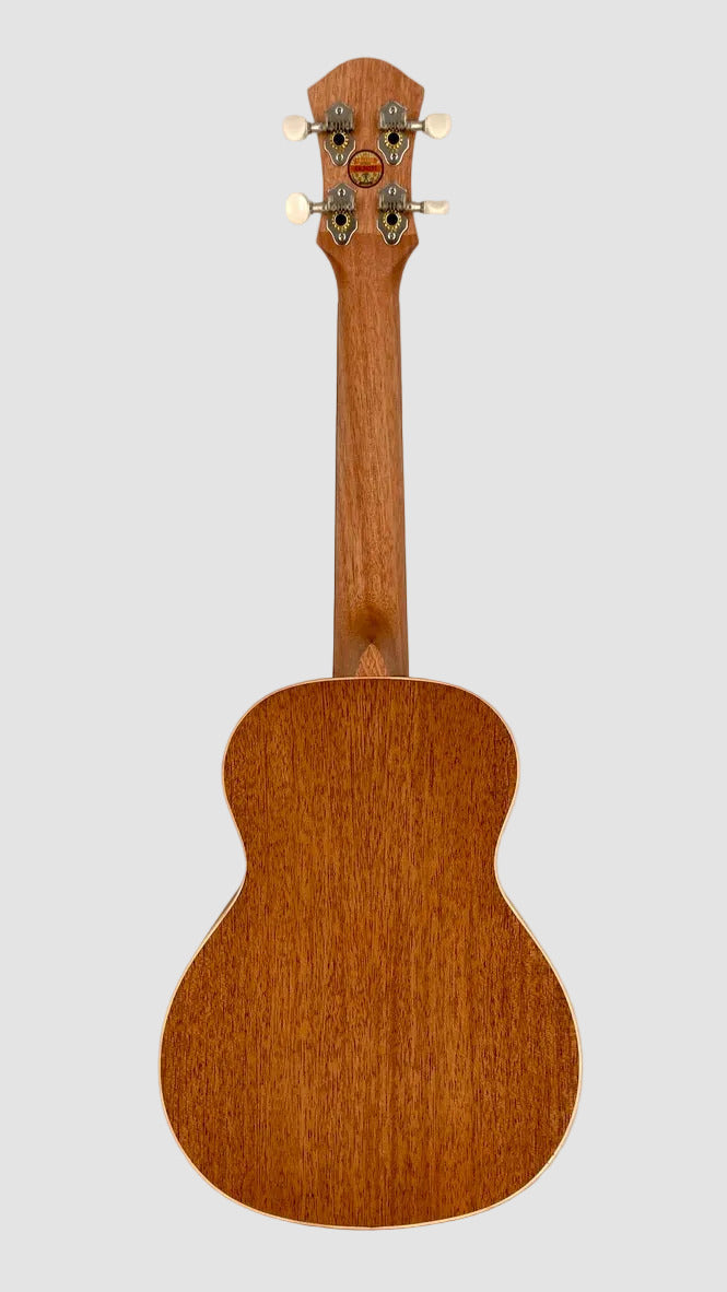 aNueNue UC-10 BA Concert