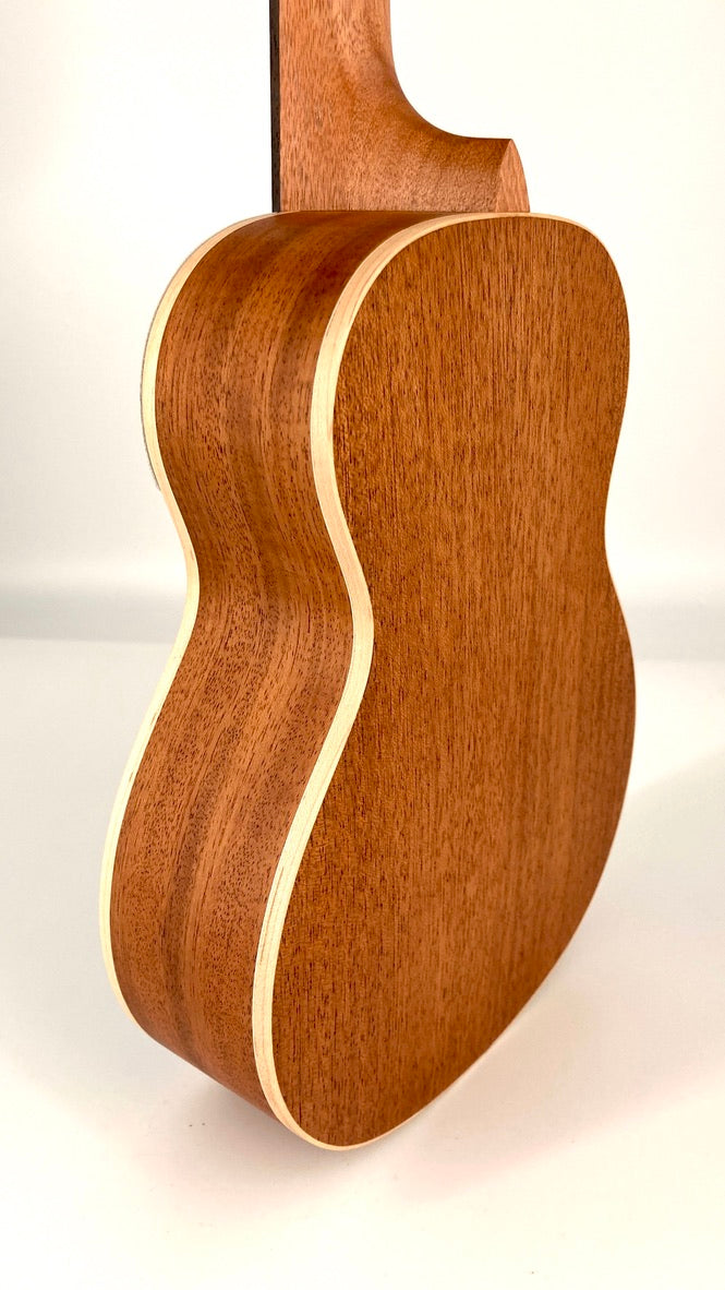 aNueNue UC-10 BA Concert