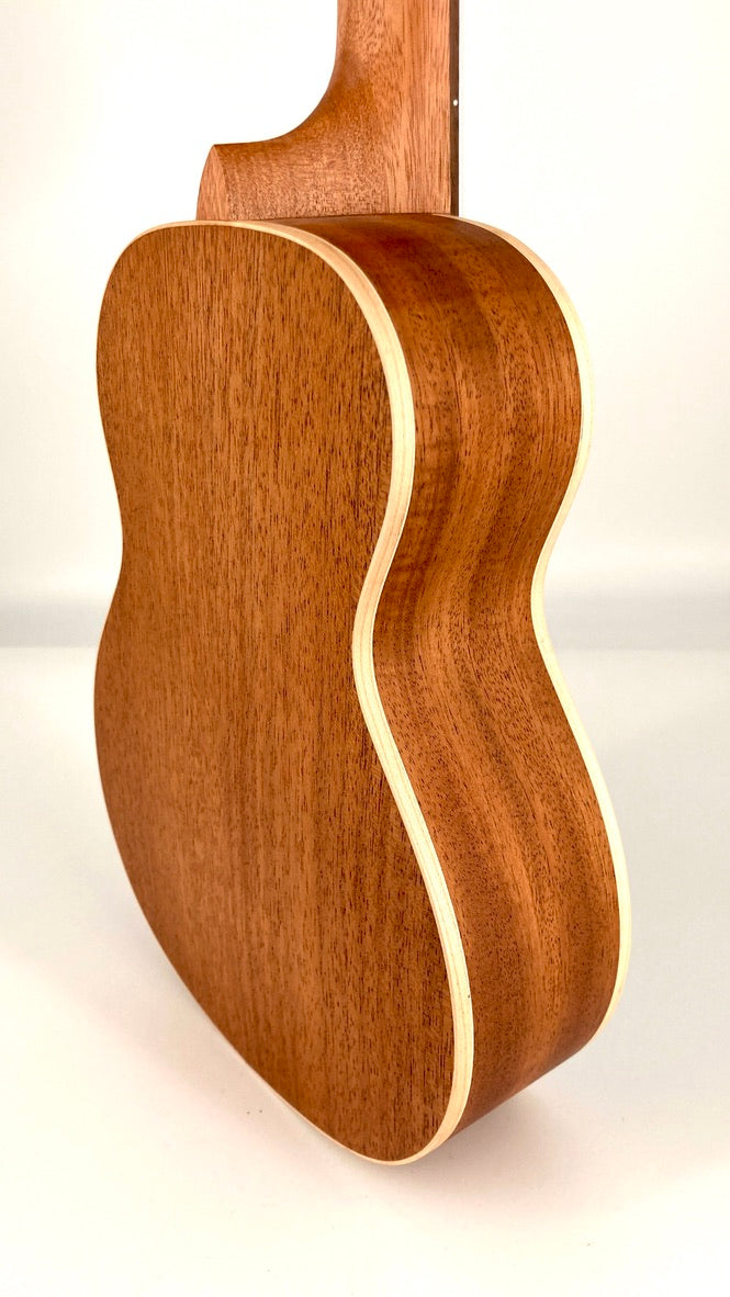 aNueNue UC-10 BA Concert