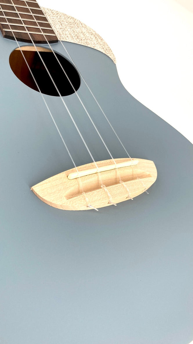 aNueNue UC-10 BA Concert