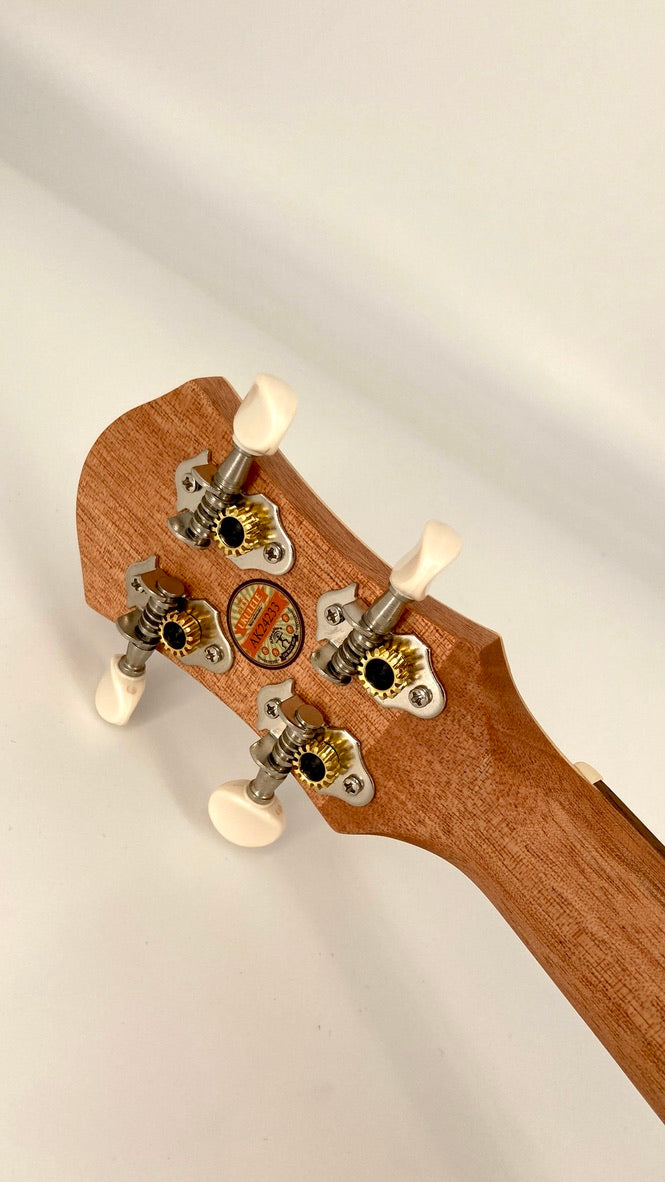 aNueNue UC-10 BA Concert