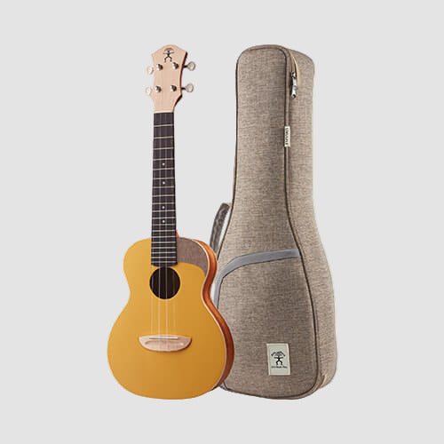 aNueNue UC-10 GG Concert