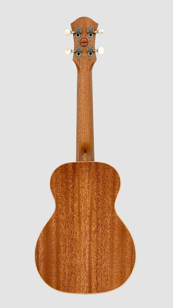 aNueNue UC-10 GG Concert