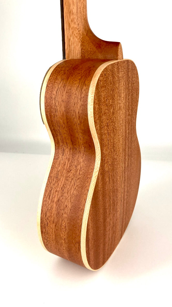 aNueNue UC-10 GG Concert