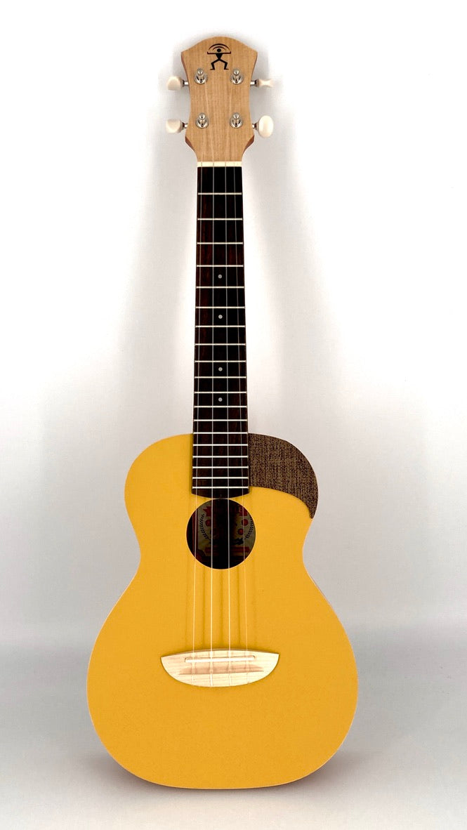 aNueNue UC-10 GG Concert