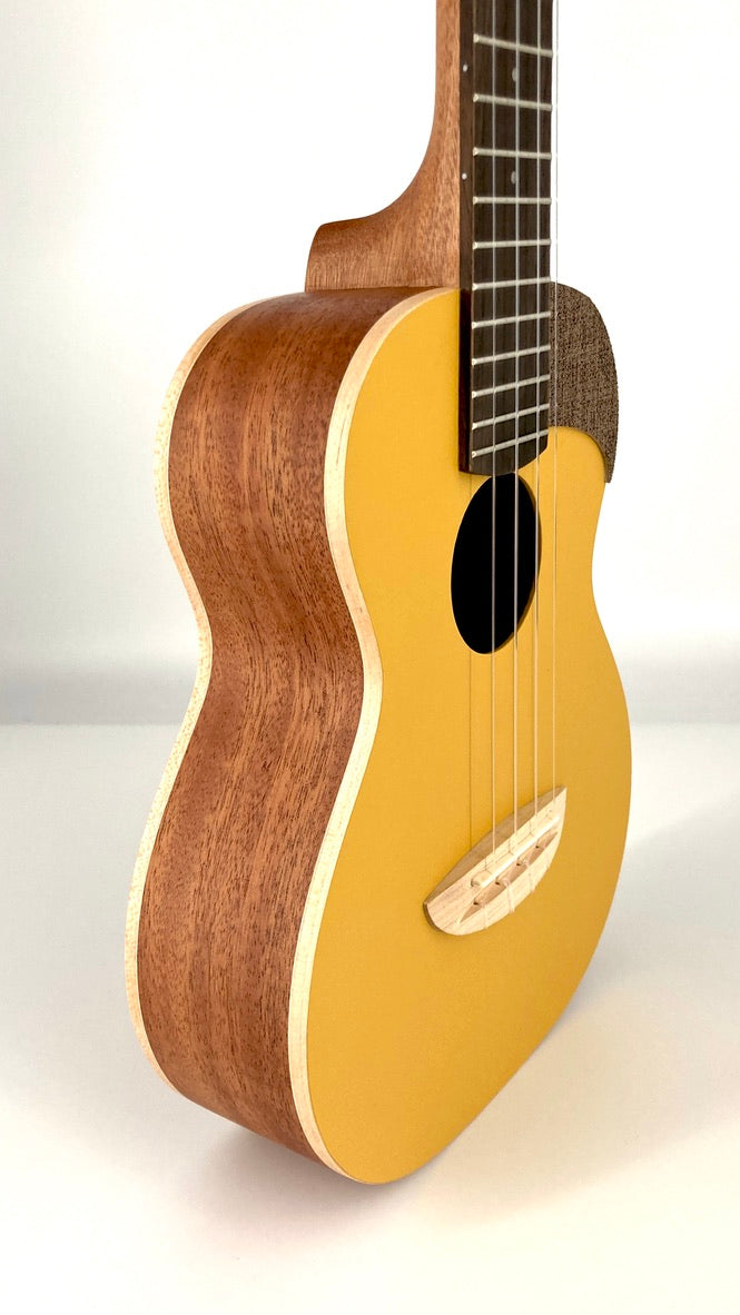 aNueNue UC-10 GG Concert