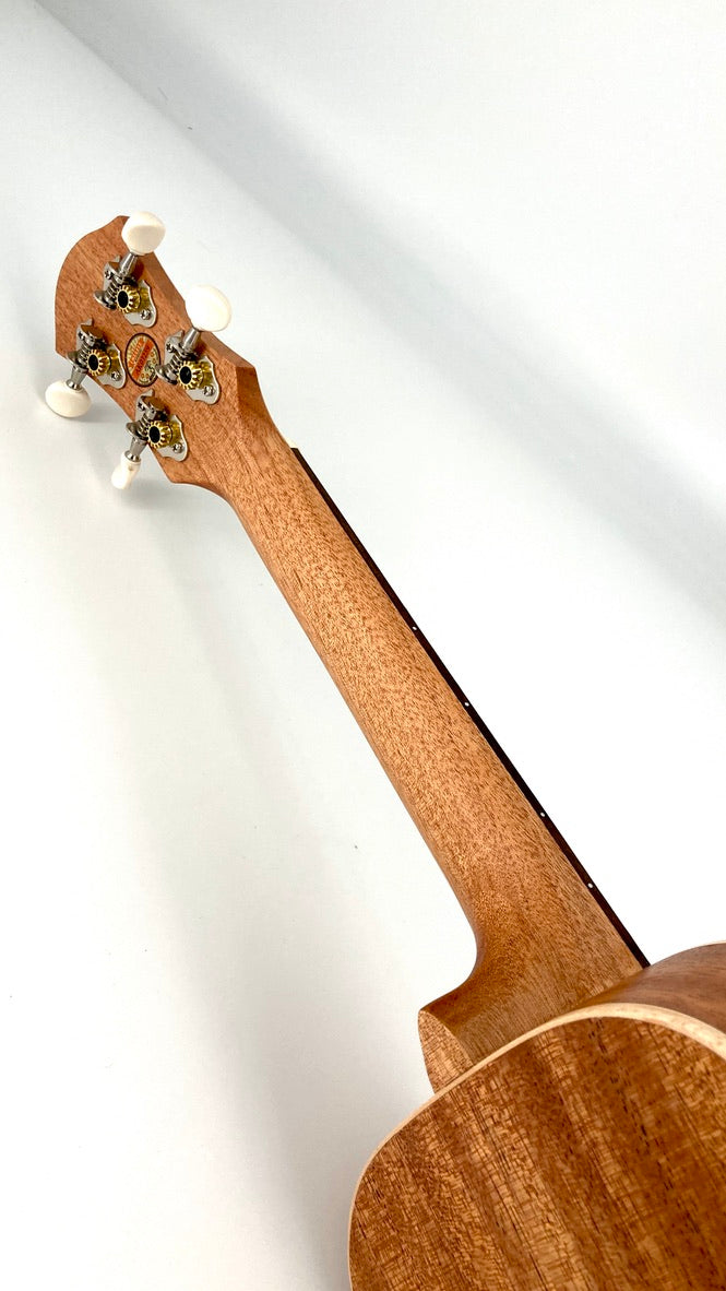 aNueNue UC-10 GG Concert