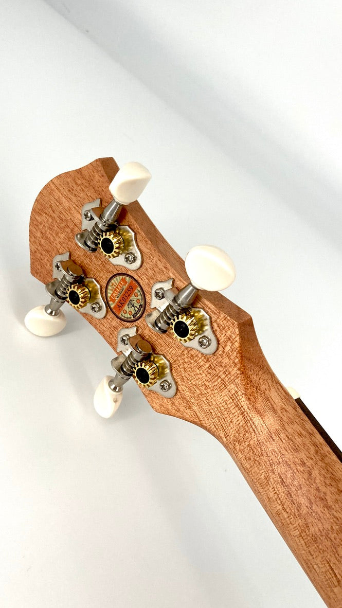 aNueNue UC-10 GG Concert