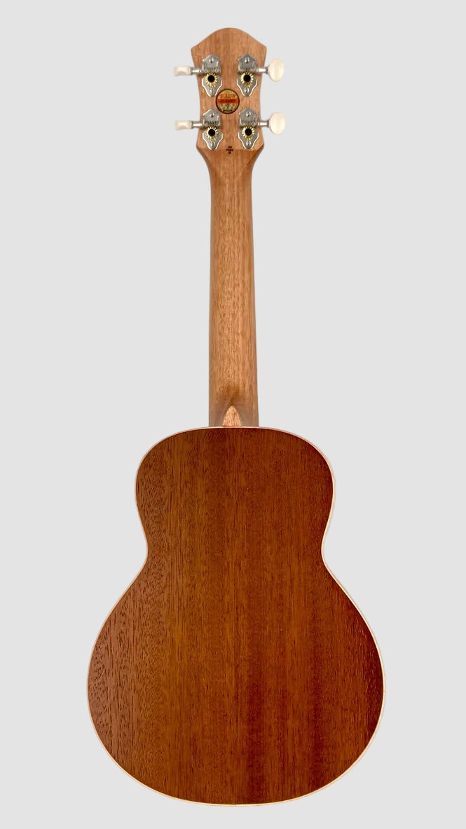 aNueNue UC-10 IG Concert